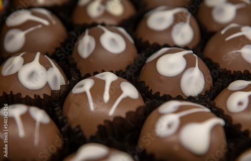 Closeup of delicious brown and white chocolate cupcakes in a sweets shop