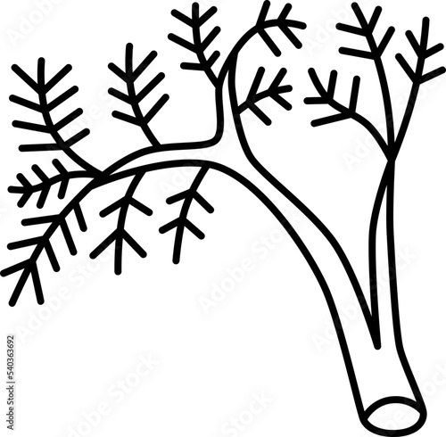 dill  icon