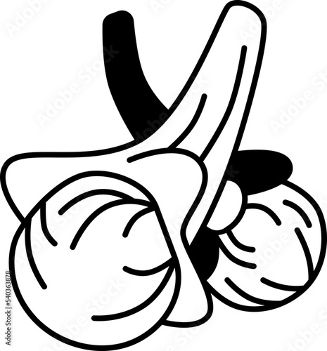 cloves  icon