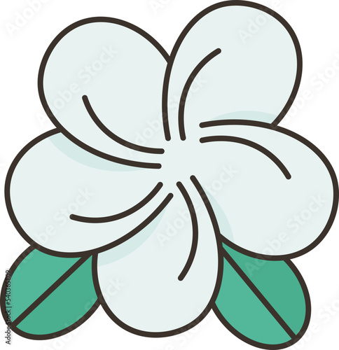 frangipani  icon