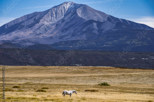 Fototapeta Naklejka Na Ścianę i Meble -  A Horse Beneath the Mountain Peak