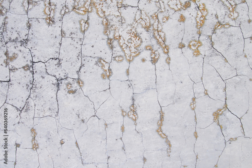 Obraz premium Cracked wall texture background