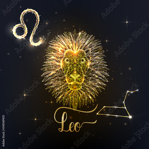 Gold Leo zodiac sign poster with lion zodiac figure, symbol glyphs, constellation and zodiac name 