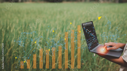 Tablou pe pânză technology and agricultural concept, farmers hand holding a laptop to collecting and analysing data in field