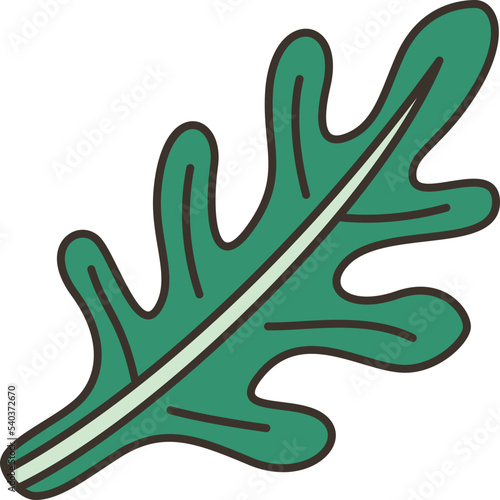 arugula  icon