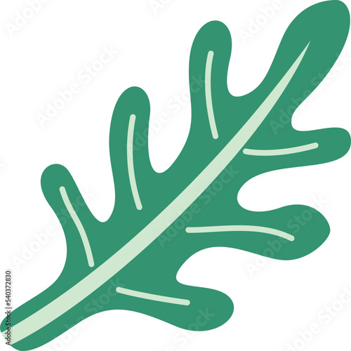 arugula  icon