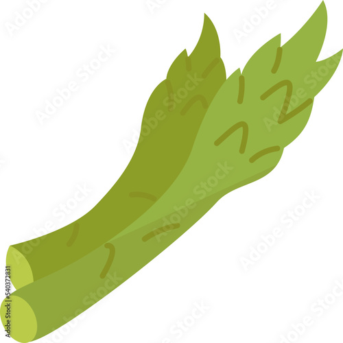asparagus  icon