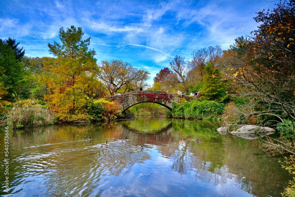 autumn in the park