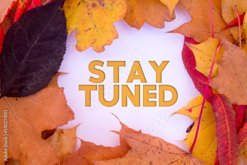 Autumn leaves, objects with Stay Tuned text. Natural patterns, color design.