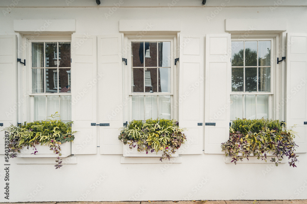 Fototapeta premium Flower Boxes Outside Windows