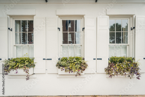 Schilderij op canvas Flower Boxes Outside Windows