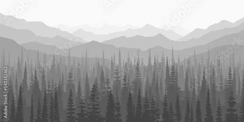 Taiga and mountains in the morning mist, black and white landscape