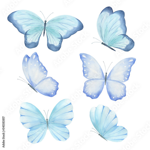 Watercolor butterfly set. Hand drawn isolated  illustration on white background © natikka