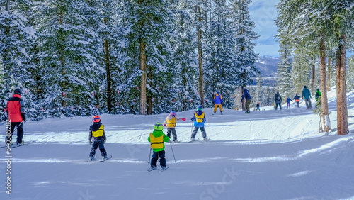 Children and adults skiing in  Colorado ski resort on nice winter day; tall pine trees covered with snow on both sides