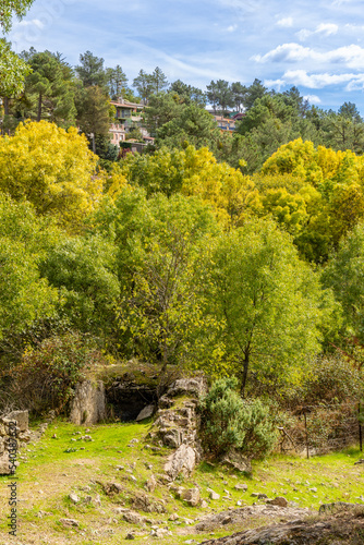 first autumn colors on the banks of the Cofio river in Robledo de Chavela, Madrid photo