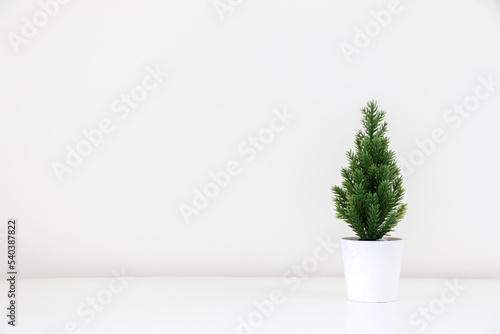 A single small evergreen Christmas tree plant (spruce tree) on right of white background, copy space on left
