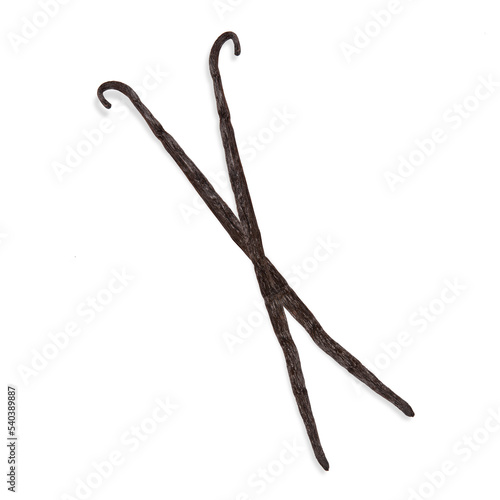 Vanilla. Fresh vanilla pods. Isolated. Top view. Precision cut and impeccable finish that allows the addition of different and colored backgrounds. Slight drop shadow, for more realism.