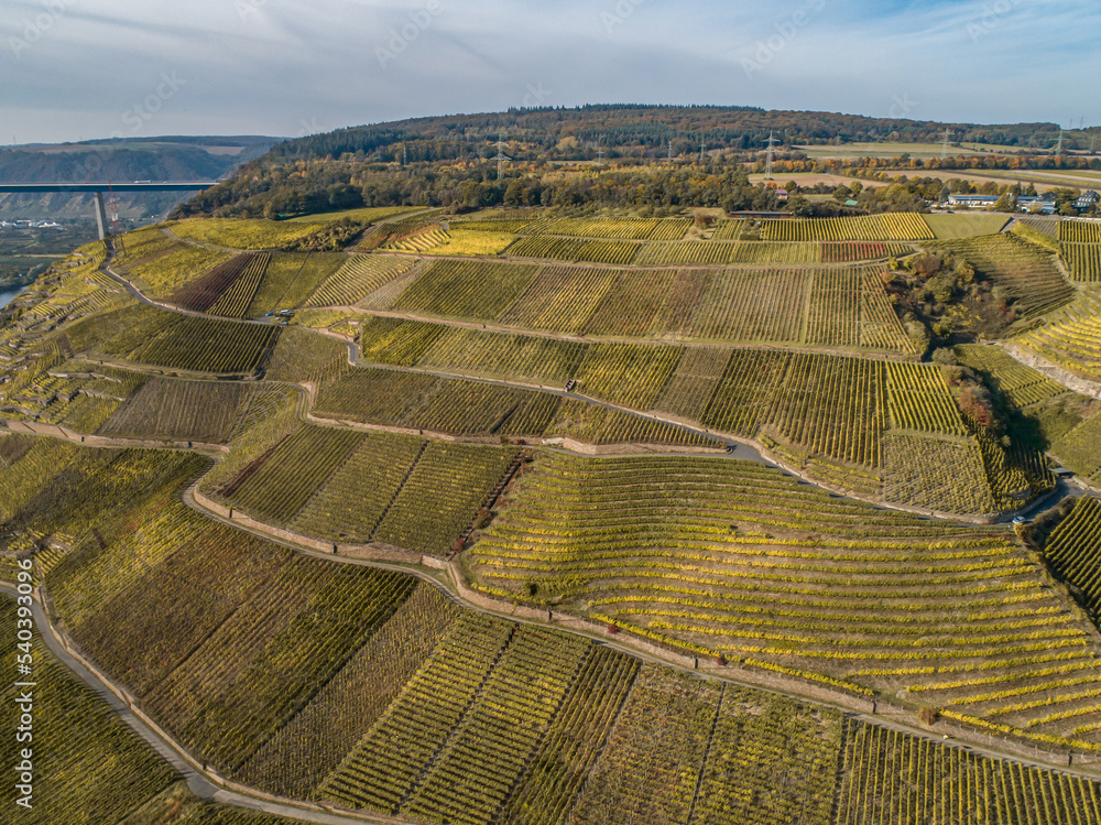 Aerial view Famous German Wine Region Moselle River Lay and Guels village Autumn Fall colors