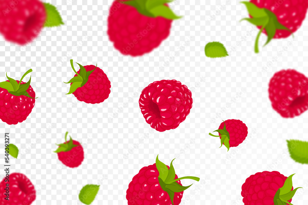 Raspberry background. Flying raspberry with green leaf on transparent background. Raspberry falling from different angles. Focused and blurry objects. Flat cartoon vector. Raspberry background. Flying raspberry with green leaf on transparent background. Raspberry falling from different angles. Focused and blurry objects. Flat cartoon vector.