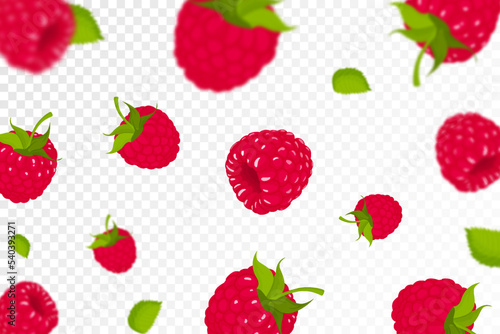 Raspberry background. Flying raspberry with green leaf on transparent background. Raspberry falling from different angles. Focused and blurry objects. Flat cartoon vector.