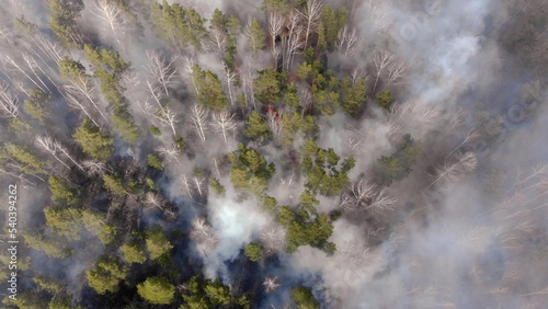 Aerial, tilt down, drone shot, overlooking trees in flames, Forest fires destroying and causing air pollution