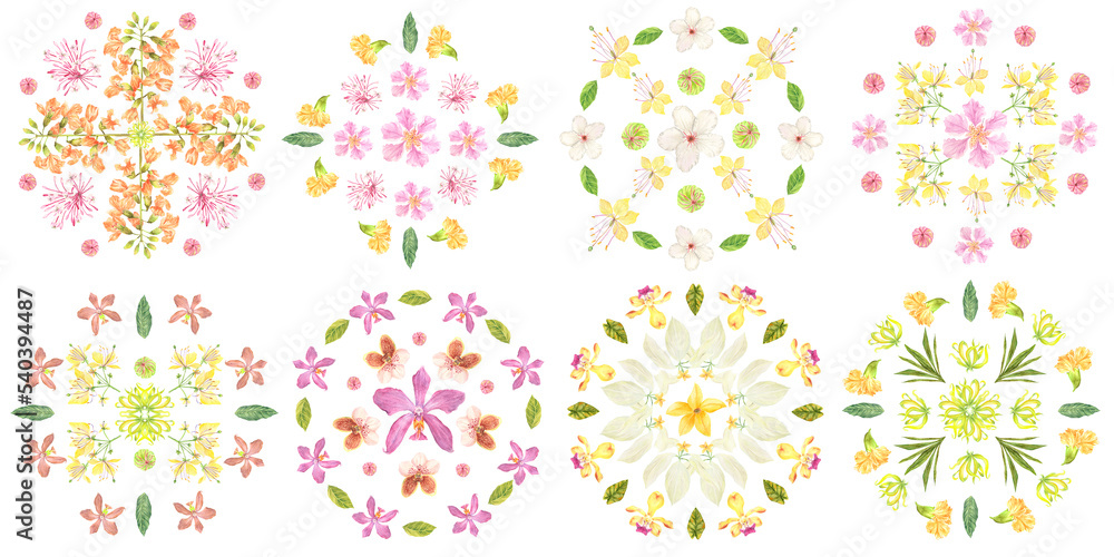 Different Philippine Flora mandala Different Philippine Flora mandala