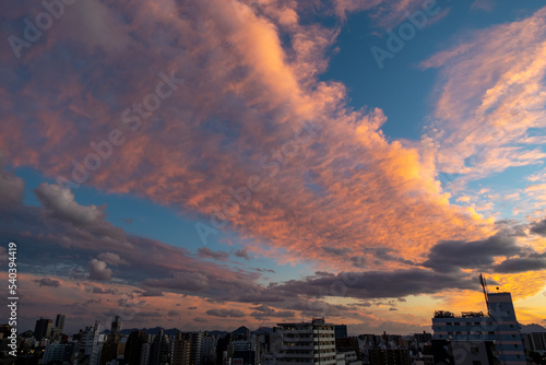 Naklejka 夕景