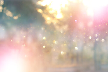 blurred abstract photo of light burst among trees and glitter bokeh lights