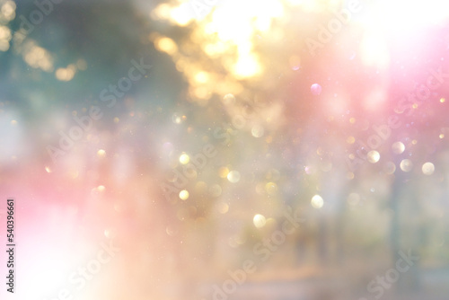 blurred abstract photo of light burst among trees and glitter bokeh lights