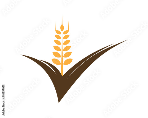 Check shape with wheat on top