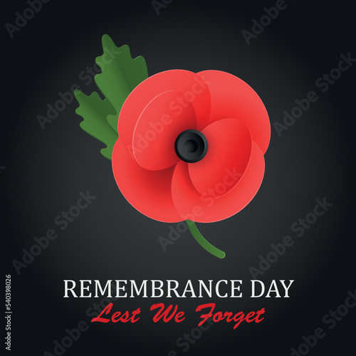 The remembrance poppy - poppy appeal. Poppy flower on black background. Decorative flower for Remembrance Day, Memorial Day, Canada and Great Britain. EPS10 vector.