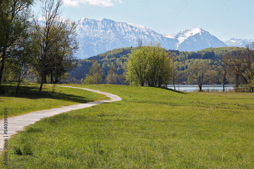 Wandern im Naturschutzgebiet beim Staffelsee (Oberbayern), im Hintergrund die schneebedeckten bayerischen Berge