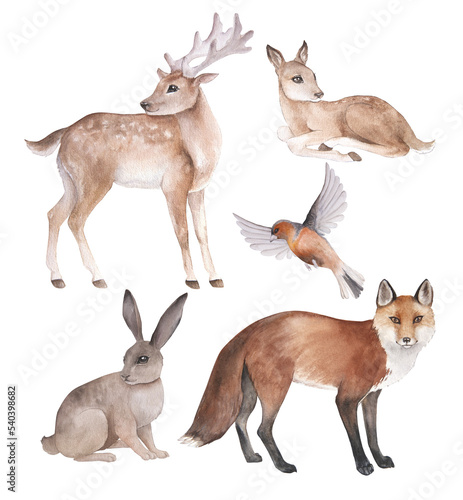 Watercolor illustration of cartoon forest animals, isolated