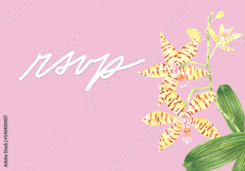 Philippine flora RSVP Card Template Phalaenopsis reichenbachiana orchid