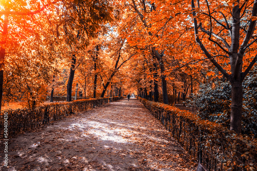 Otoño en el Parque del Retiro en Madrid