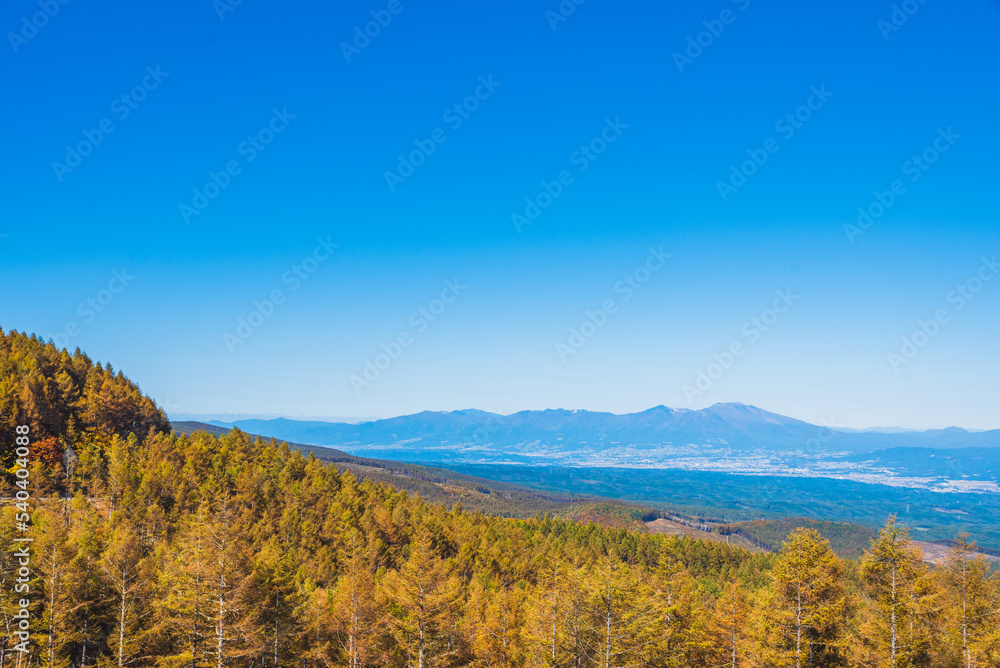 カラマツ林の向こうに見える浅間山と佐久平　長野県小海町　