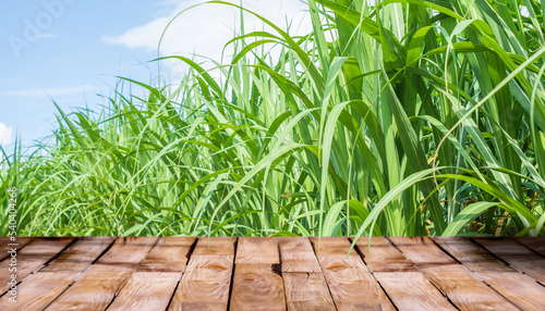 Beautiful wooden floor and sugar cane field nature background, agriculture product standing showcase background