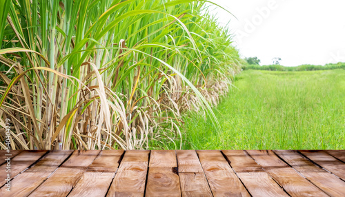 Beautiful wooden floor and sugar cane field nature background, agriculture product standing showcase background