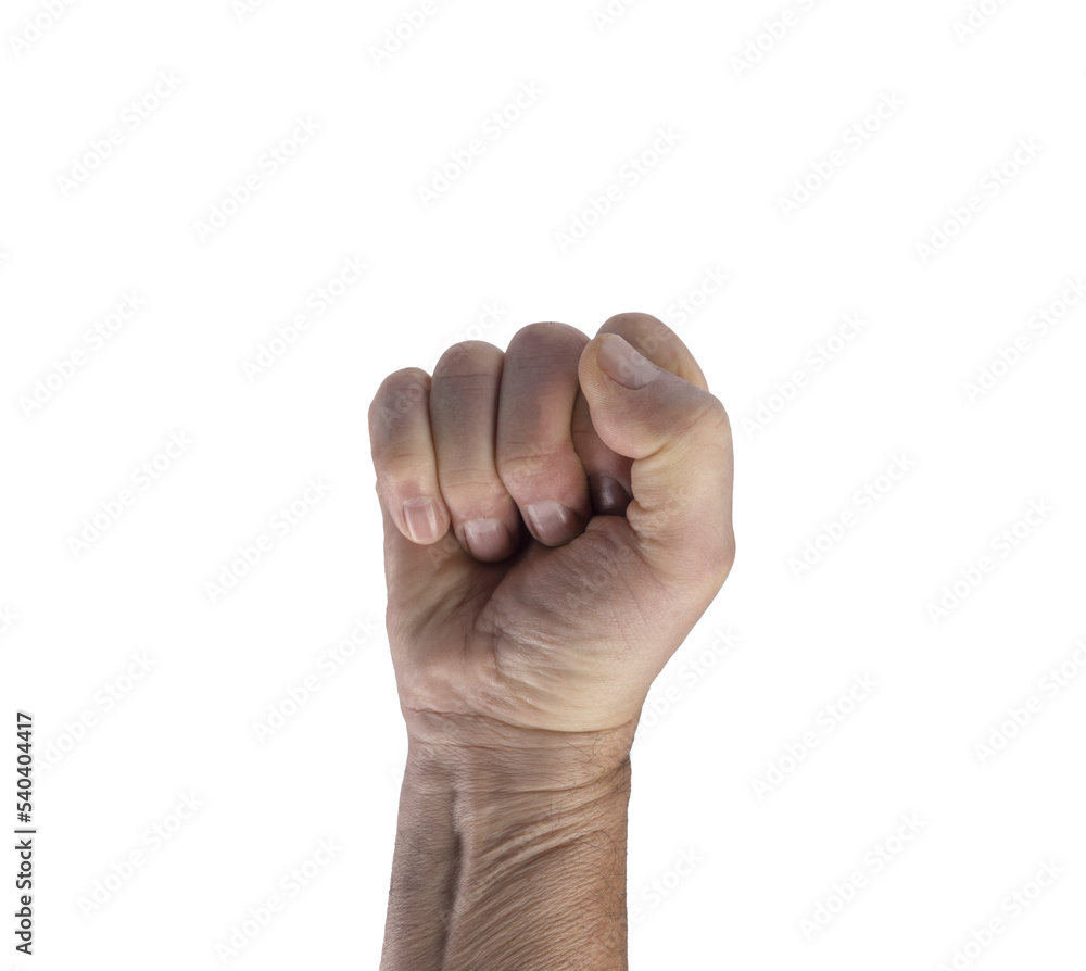 the fist of a male hand the fist of a male hand