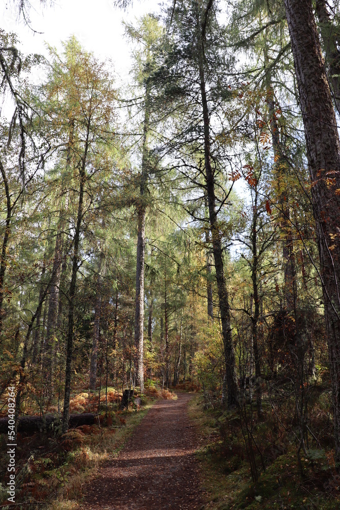 Fototapeta premium Ecosse, Grande bretagne