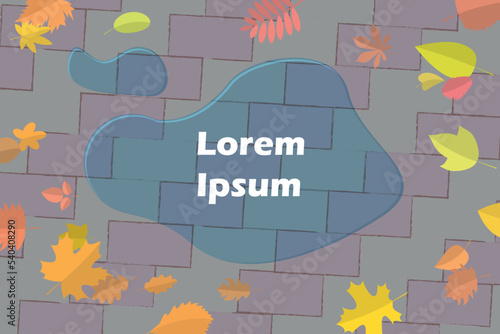 Vector illustration. Concrete pavement with a puddle of water. Around the autumn leaves. Top view.