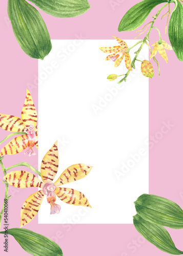Philippine flora invitation template Phalaenopsis reichenbachiana orchid
