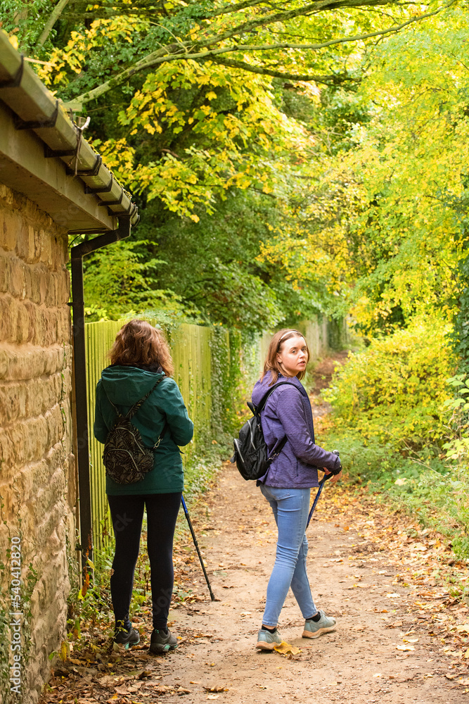Obraz premium Family walking in the woods.