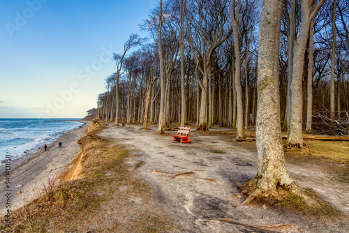Fototapeta Naklejka Na Ścianę i Meble -  Panorama Steilküste Ostsee Nienhagen
