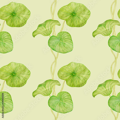 Seamless pattern with watercolor painted green lotus leaves.