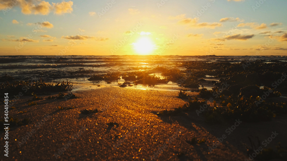 Sun over horizon and  rolling ocean waves to the shore while sunset during tide.  Beautiful natural landscape with water,  sandy beach  and green plants during low tide. Beautiful wild nature.