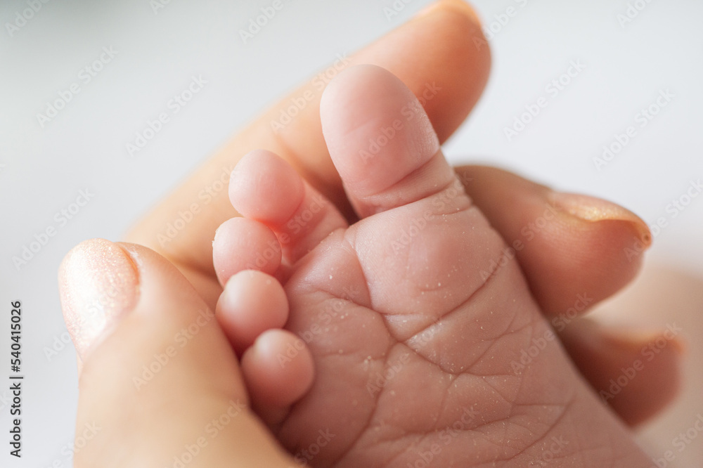 Tiny foot of a newborn baby in the mother's palms. Mom holds a newborn baby's foot in her hands. Close-up of a newborn baby's foot. Mother loves her baby. The concept of motherhood and parenthood Tiny foot of a newborn baby in the mother's palms. Mom holds a newborn baby's foot in her hands. Close-up of a newborn baby's foot. Mother loves her baby. The concept of motherhood and parenthood