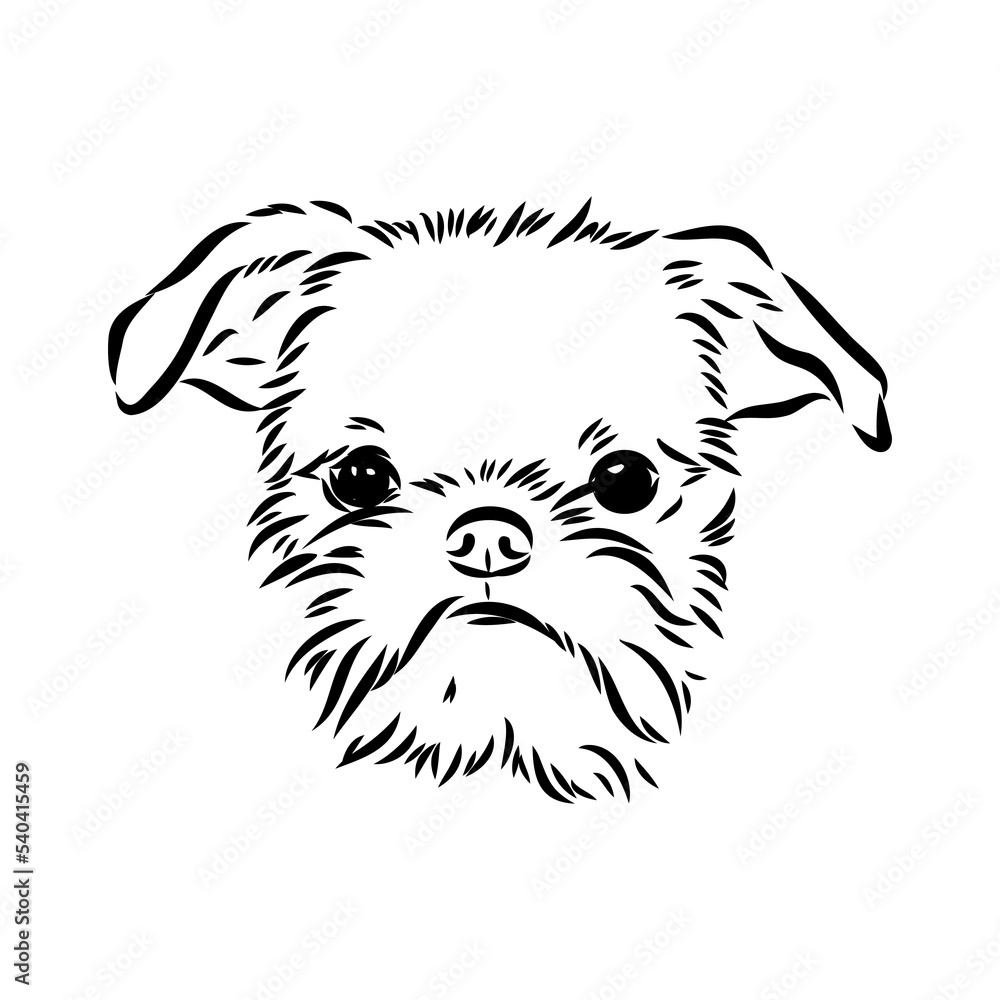 Fototapeta premium Brussels Griffon Dog, Pet Portrait, Brussels Griffon Dog Line Art, Pet Line Art, Pet Tattoo, Line Drawing, Dog Art, Minimalist