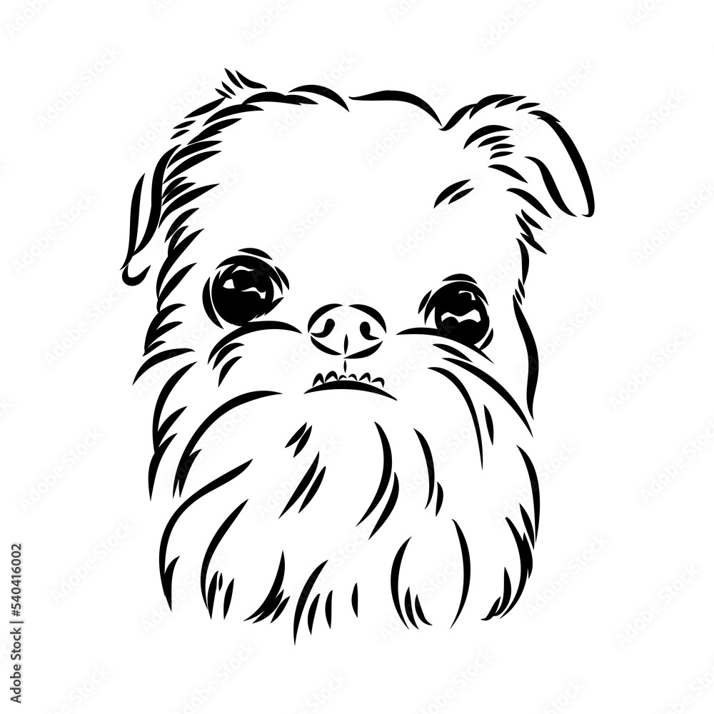 Obraz premium Brussels Griffon Dog, Pet Portrait, Brussels Griffon Dog Line Art, Pet Line Art, Pet Tattoo, Line Drawing, Dog Art, Minimalist