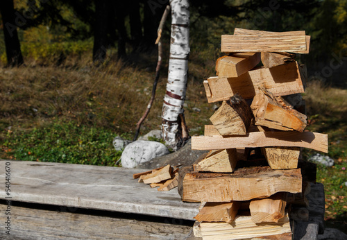 Chopped beech firewood stacked on a wooden bench. In the background there is a birch trunk and a gray stone